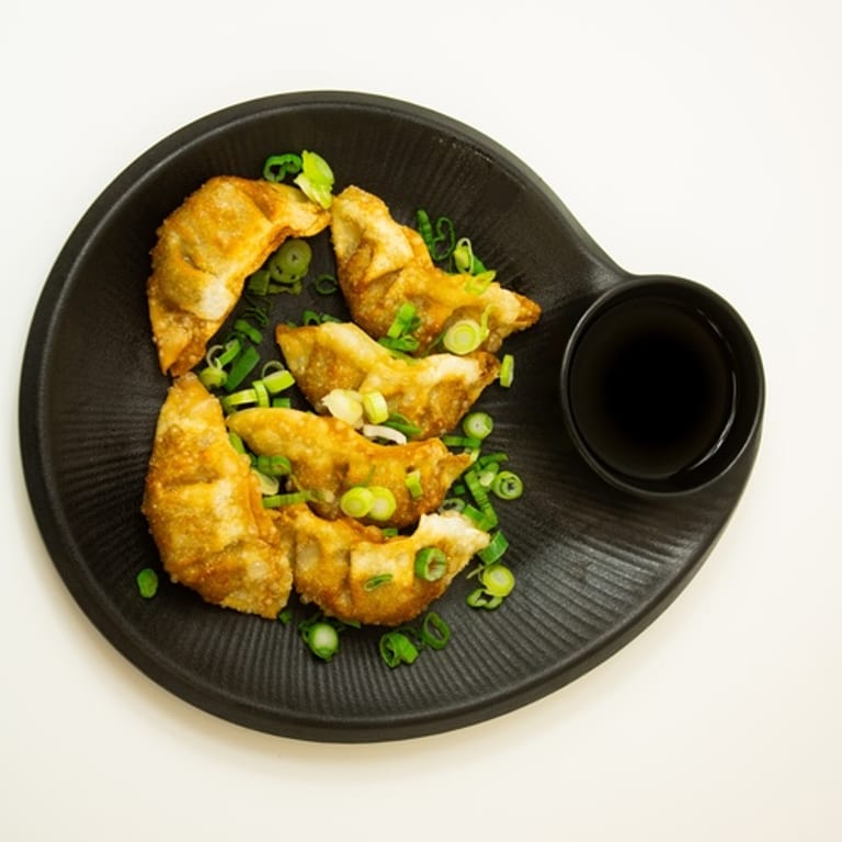 Savor Our Dumplings